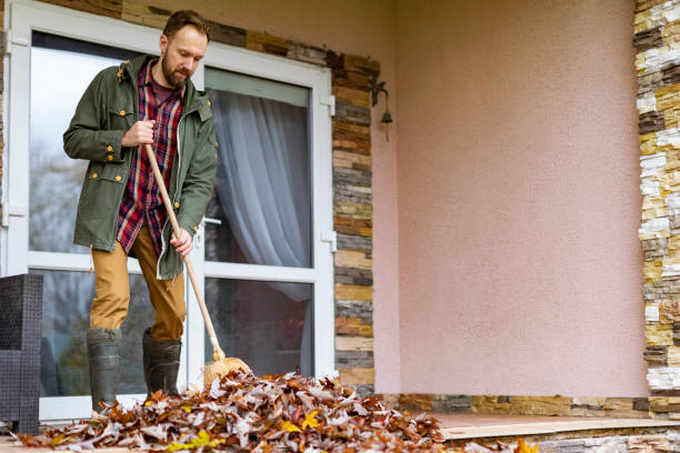 Best Yard Cleanup Services  in North Kingsville, OH